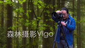 逃出灰绿房