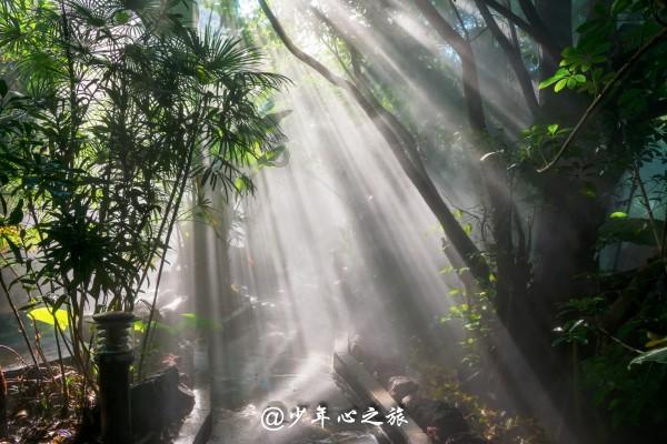 专访北京一轻控股有限责任公司董事长郭明星:百年品牌如何持久“续航”